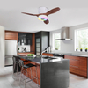 LEC016 White Wood Grain-RGB MUSIC FAN LIGHT