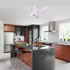 LEC016 White-RGB MUSIC FAN LIGHT