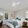 LEC016 White-RGB MUSIC FAN LIGHT