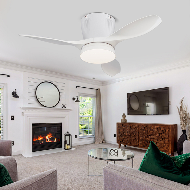 LEC016 White-LED FAN LIGHT