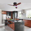 LEC016 Black Wood Grain-RGB MUSIC FAN LIGHT