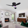 LEC016 Black-RGB MUSIC FAN LIGHT