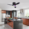 LEC016 Black-RGB MUSIC FAN LIGHT