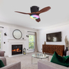 LEC016 Black Wood Grain-RGB MUSIC FAN LIGHT